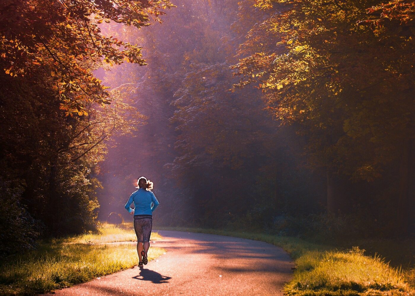 Einlagen für den aktiven Herbst